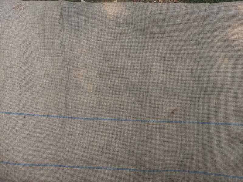 Carpet 2