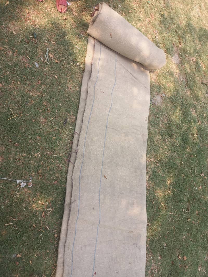 Carpet 3