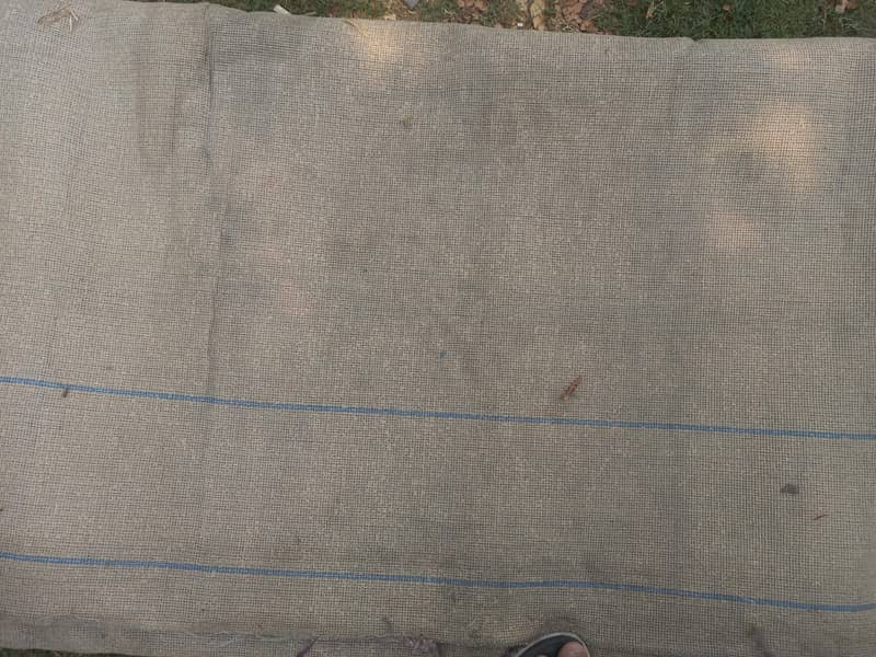 Carpet 4