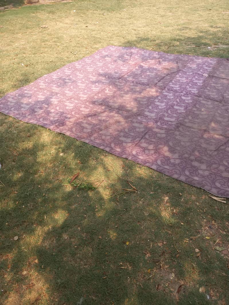 Carpet 5