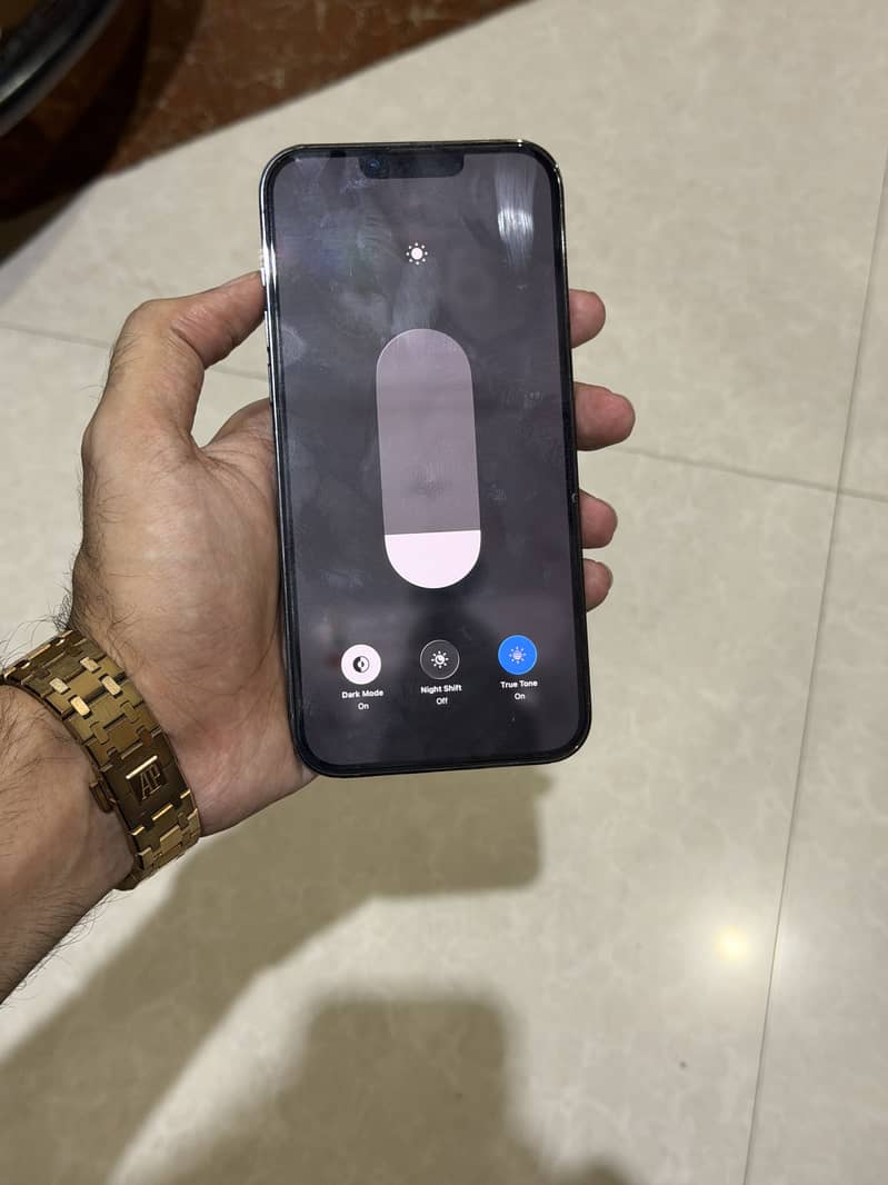 Apple iPhone 13 Pro Max 1