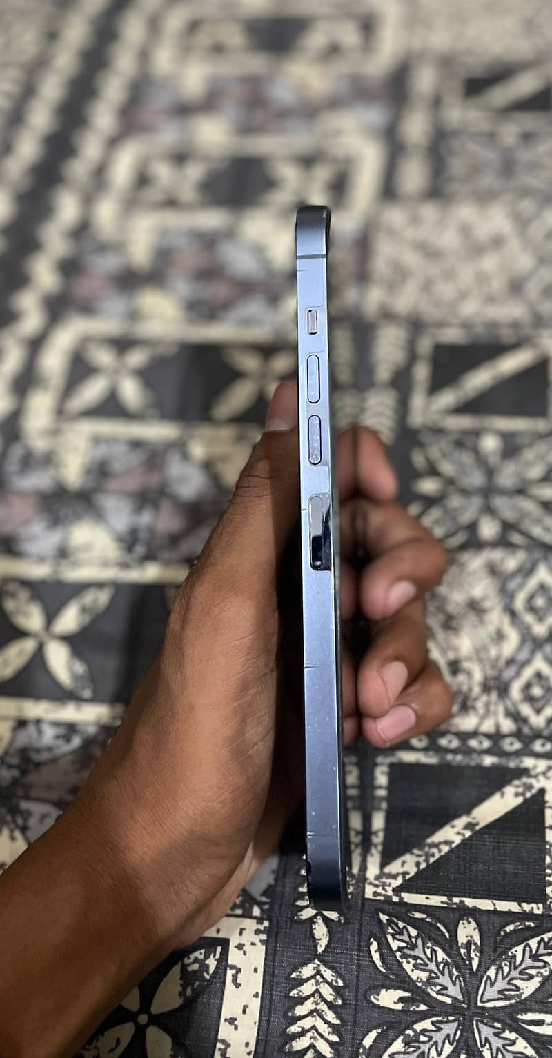 Apple iPhone 13 Pro Max 1