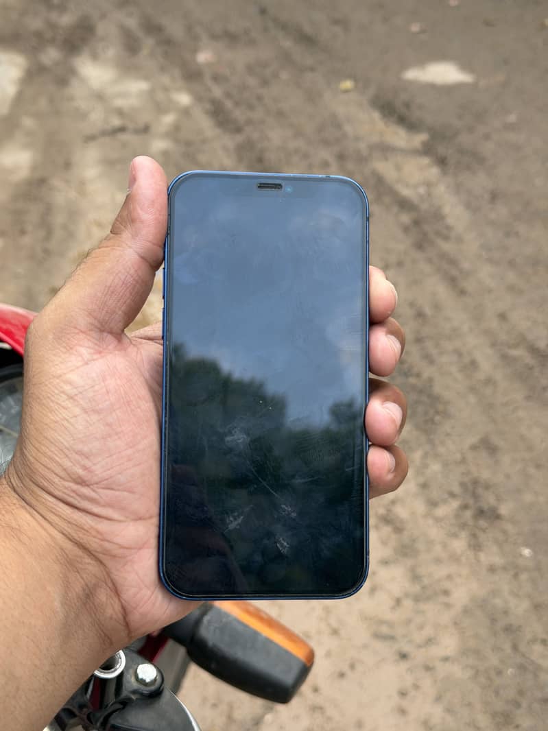 Apple iPhone 12 1