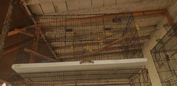 5×5=25 one cage 5000 best quality cage suitable for every bird