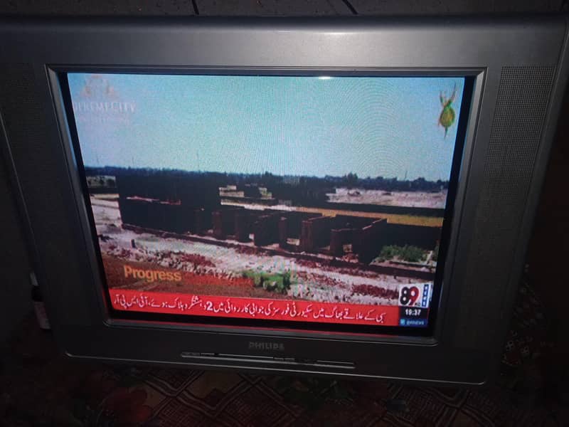 Tv24" 5