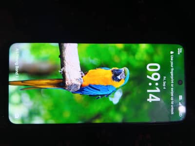 Honor X7c