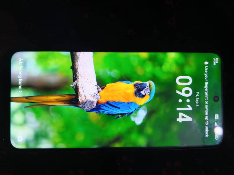 Honor X7c 0