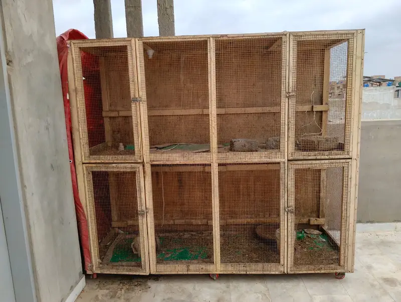Pinjra For Sale