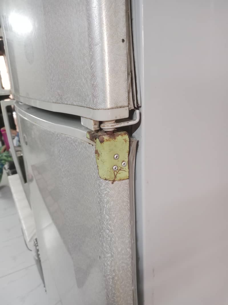 fridge 5