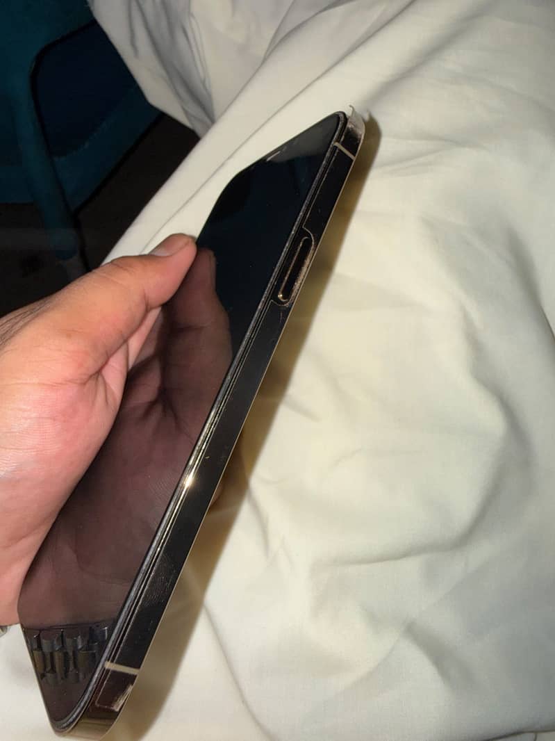 Apple iPhone 12 Pro Max 1