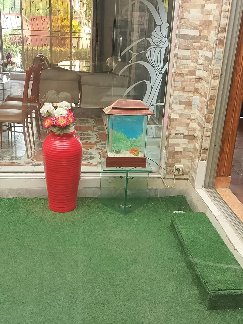 16 liter aquarium