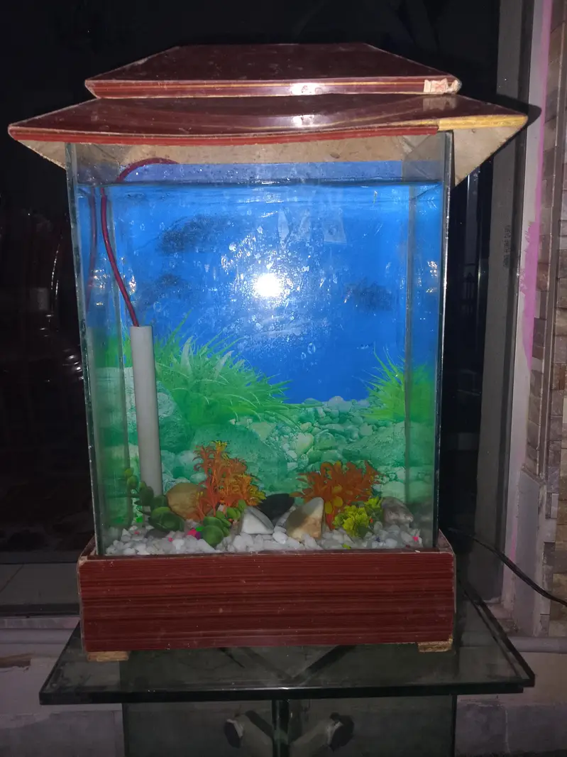 16 liter aquarium — photo 3