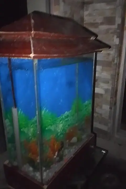 16 liter aquarium — photo 4