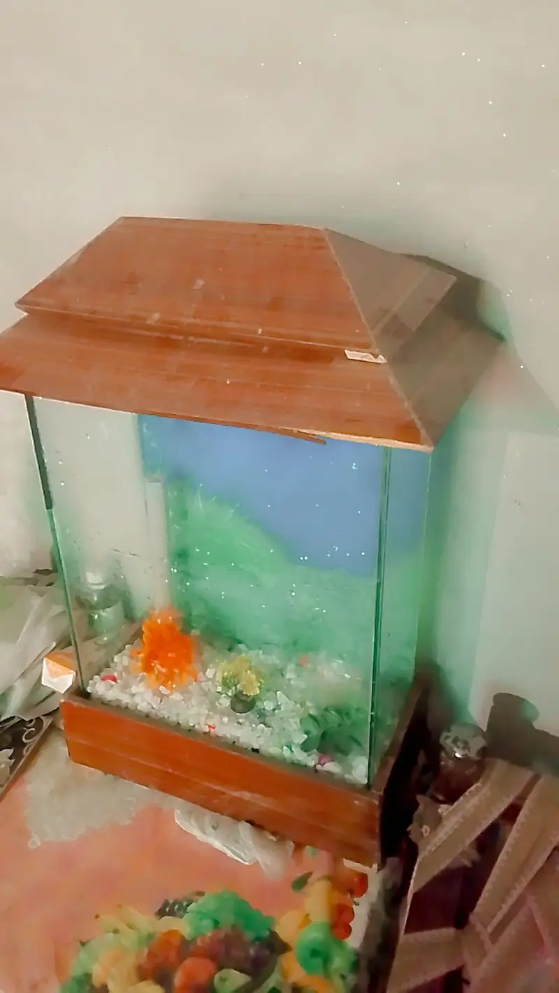 16 liter aquarium — photo 7