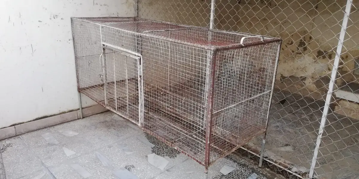 Hen cage