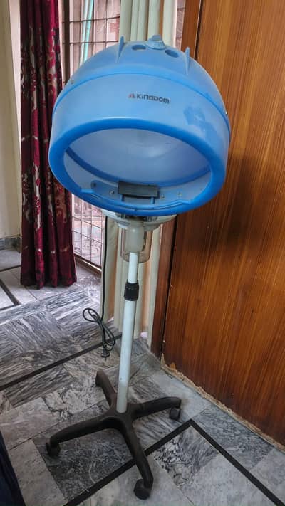 Hair steamer