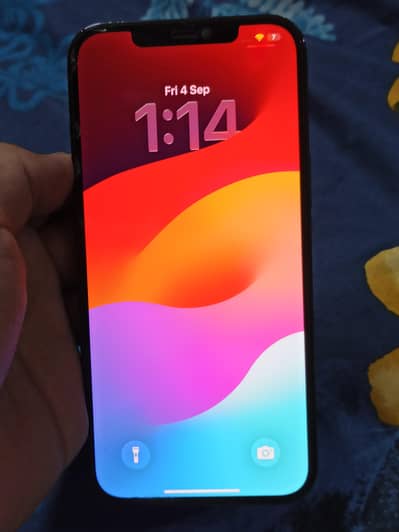 Apple iPhone 12 Pro Max