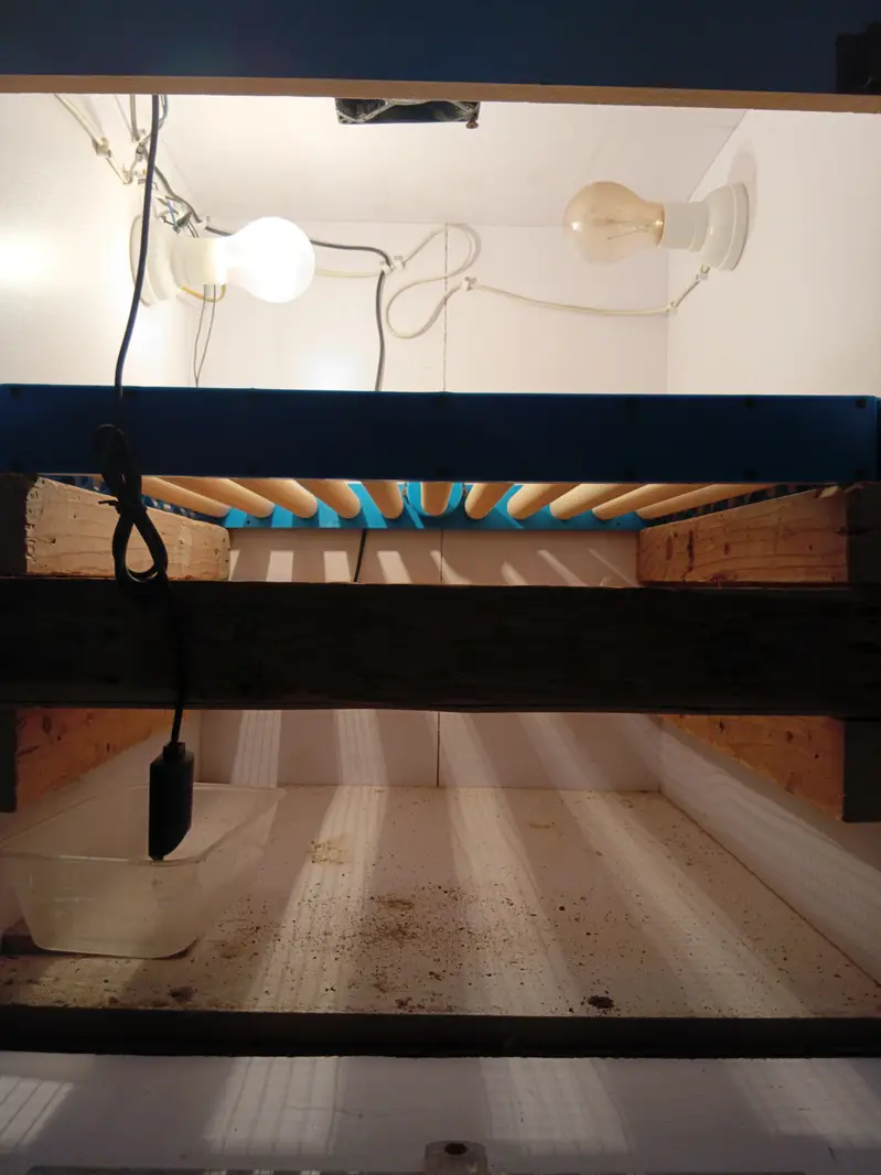 Incubator machine — photo 3