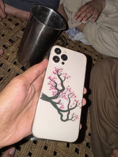 Apple iPhone 12 Pro Max