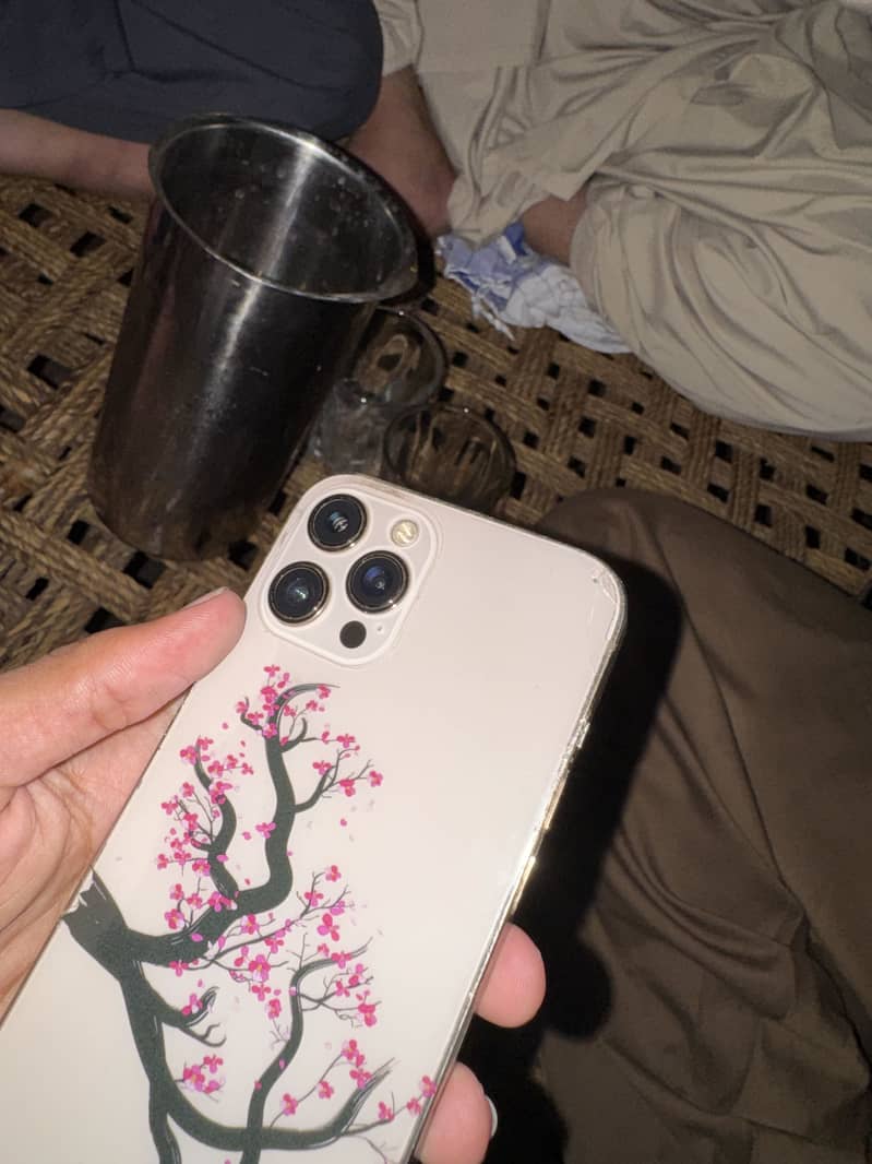 Apple iPhone 12 Pro Max 1