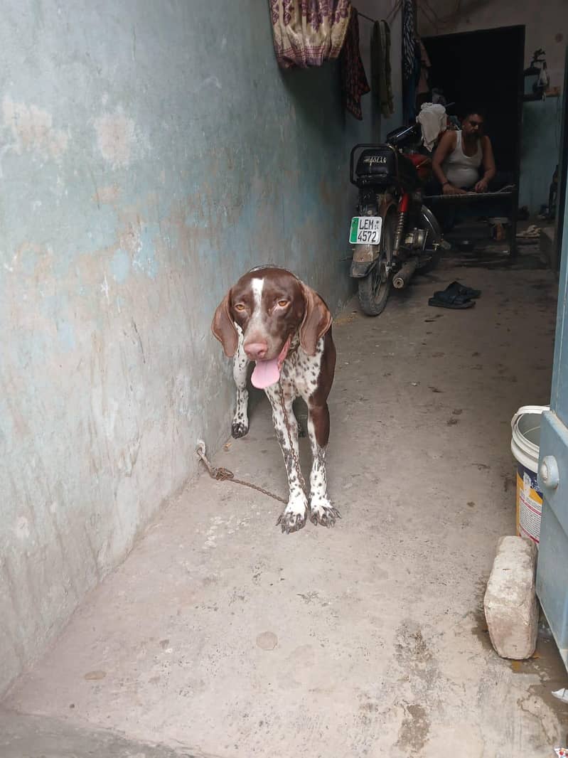 pointer 1