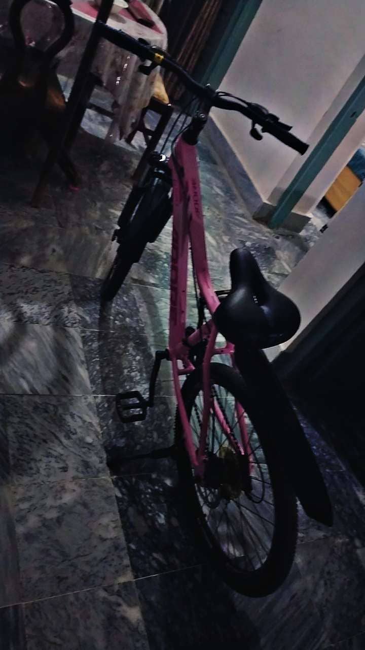 Cycle 0
