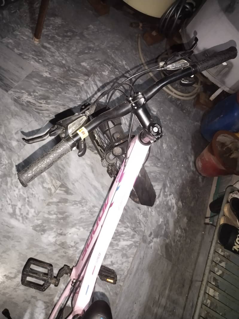 Cycle 2