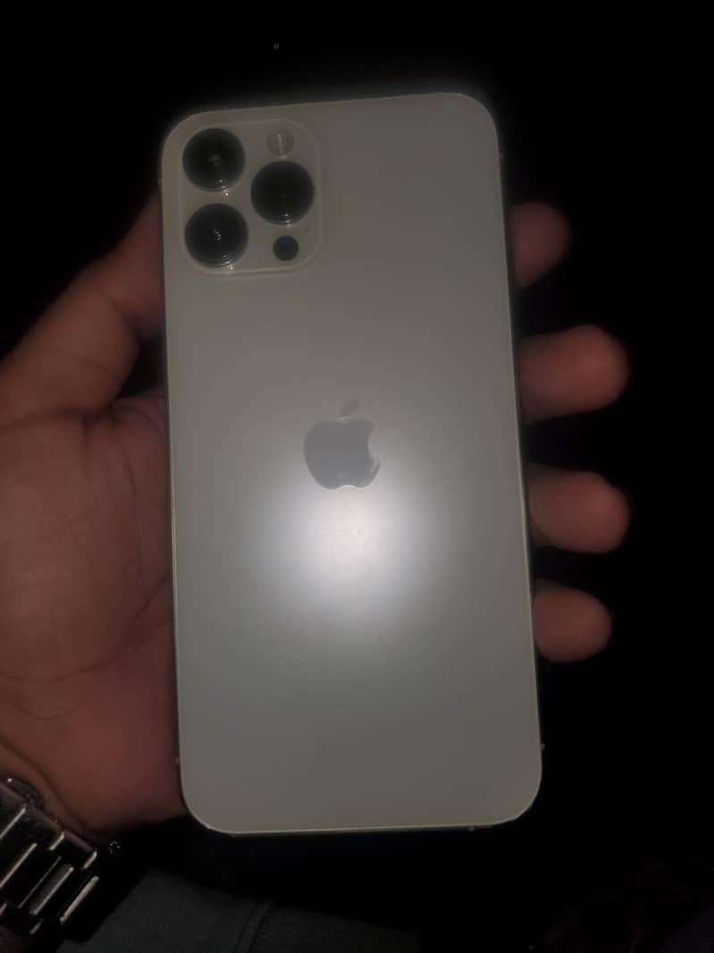 Apple iPhone 12 Pro Max 1