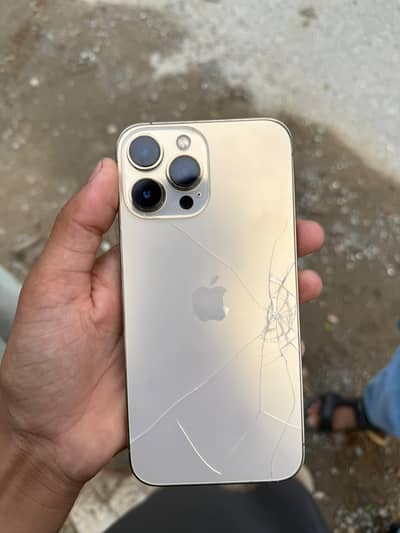 Apple iPhone 13 Pro Max