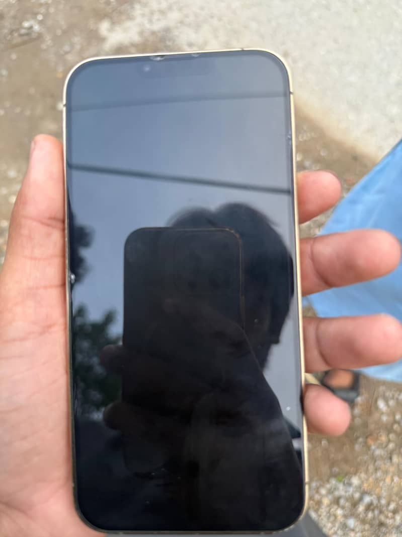 Apple iPhone 13 Pro Max 1