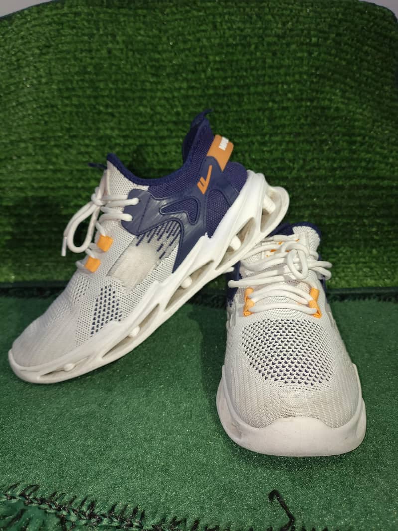 Shoes 1
