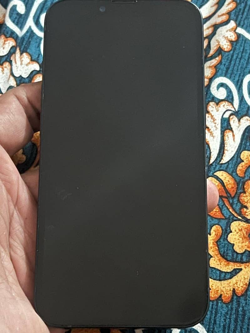 Apple iPhone 13 0