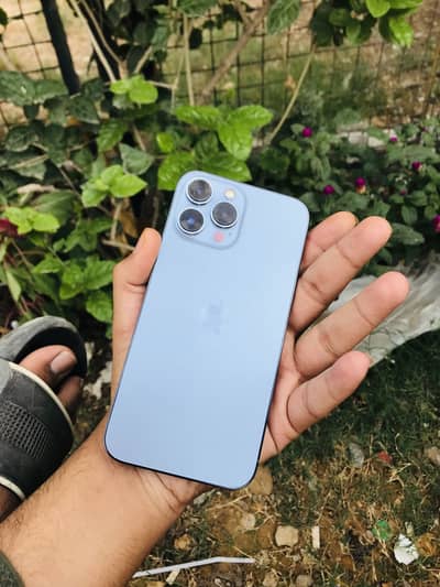 Apple iPhone 13 Pro Max
