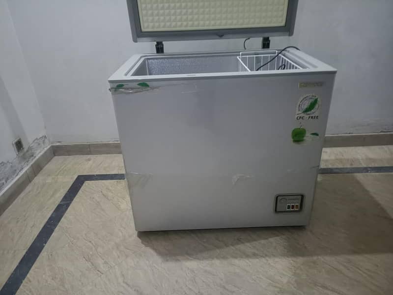 new freezer 1