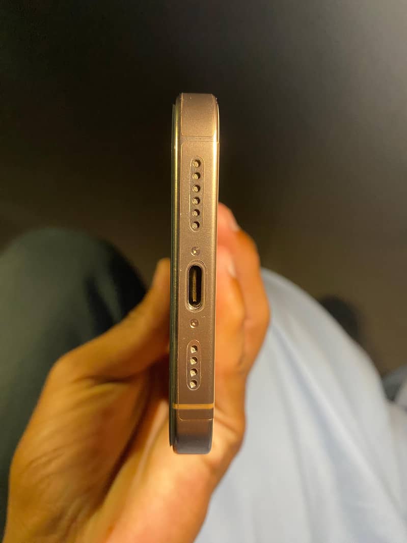 Apple iPhone 16 Pro Max 3
