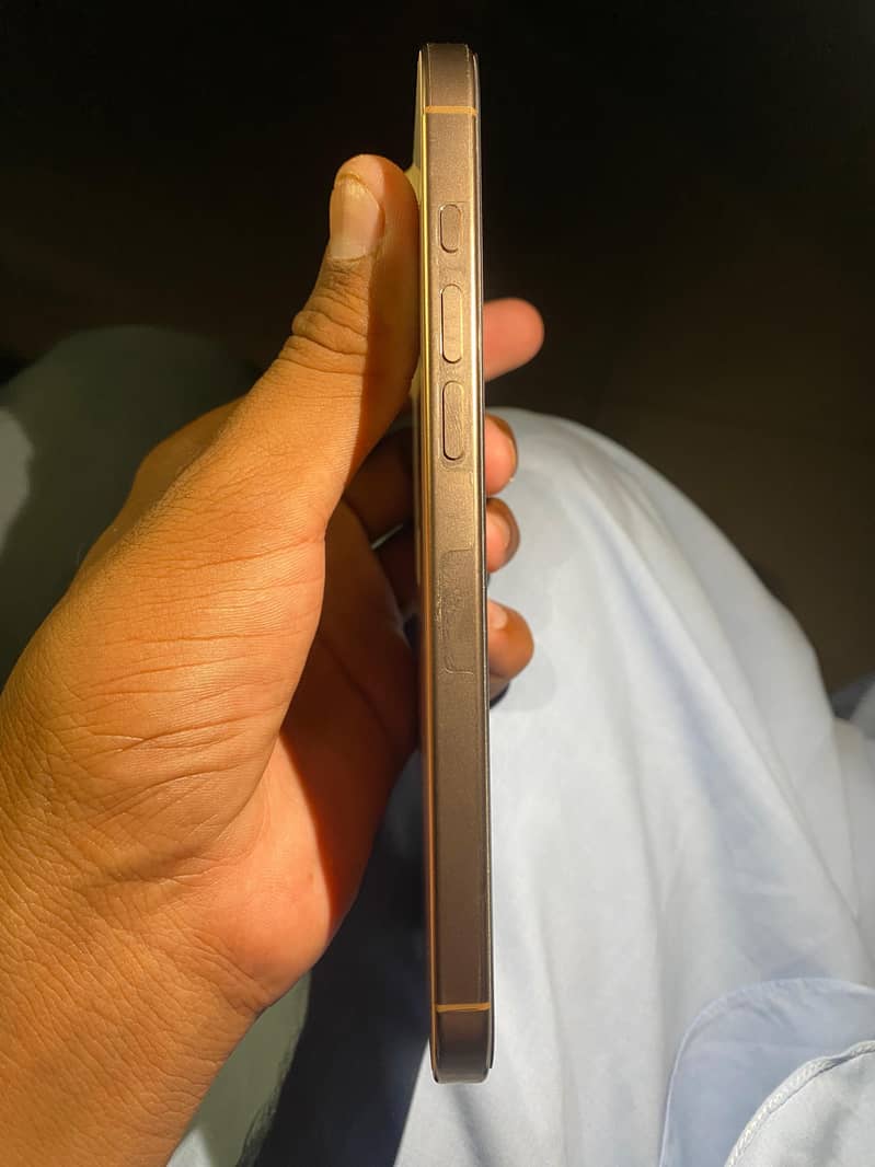 Apple iPhone 16 Pro Max 5