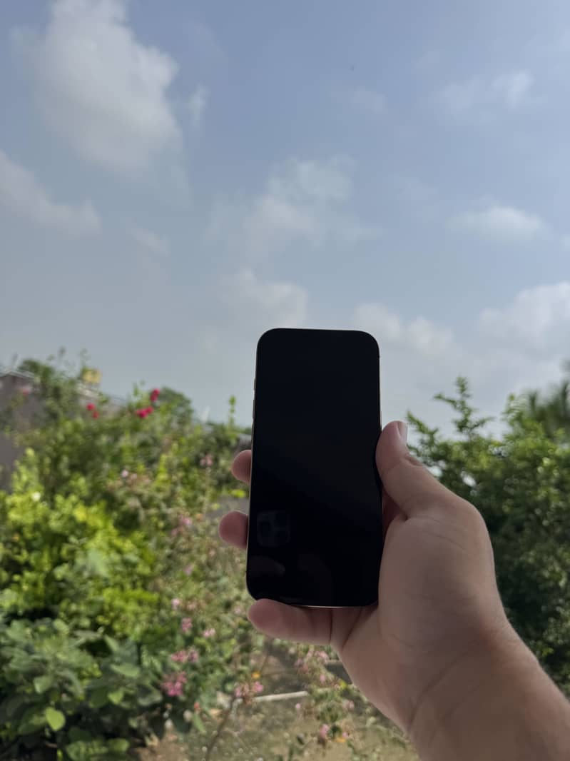Apple iPhone 16 Pro 2