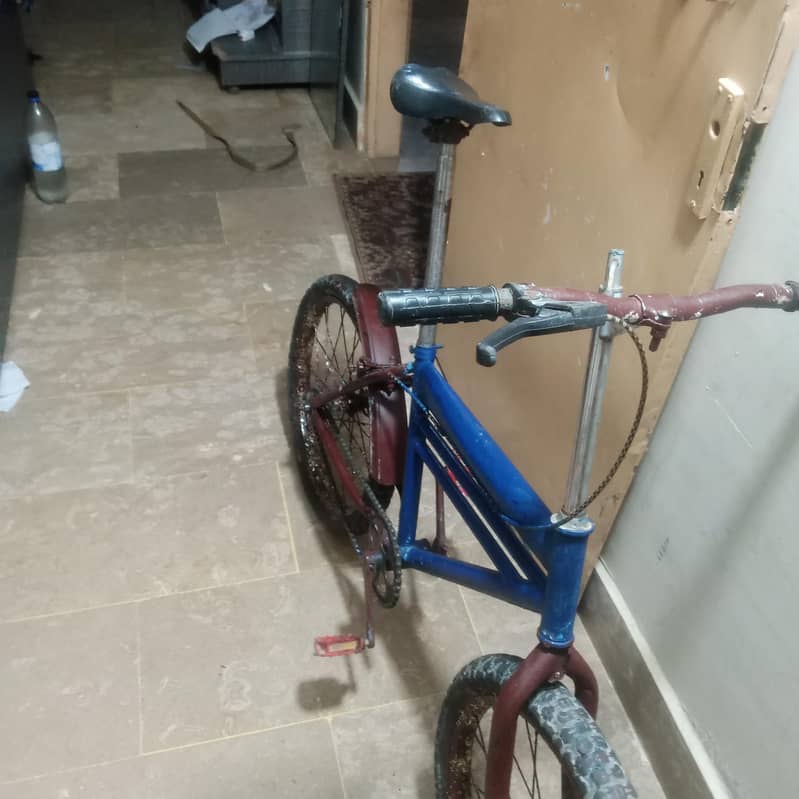 road cycle 1