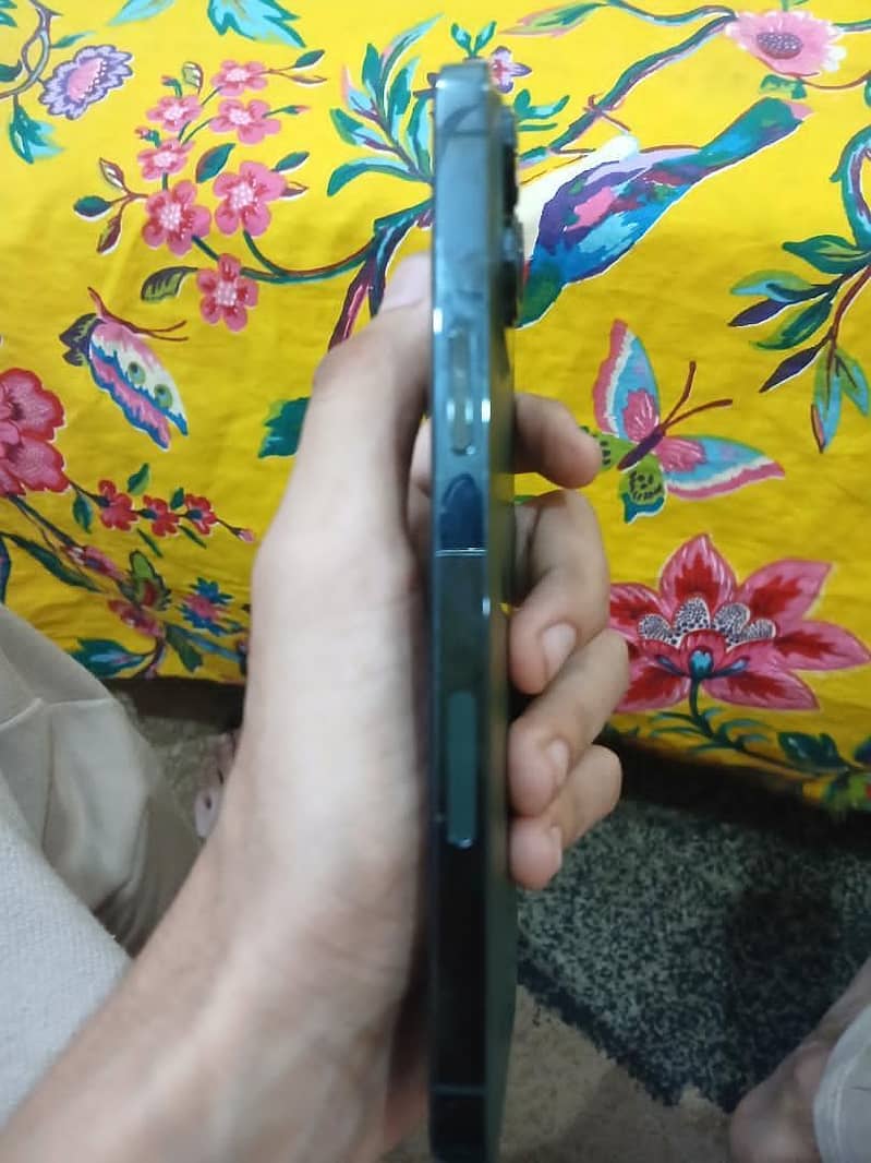 Apple iPhone 13 Pro Max 2
