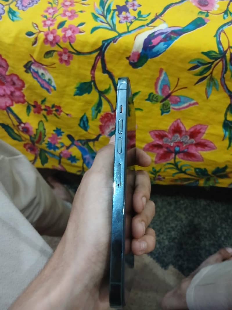 Apple iPhone 13 Pro Max 9