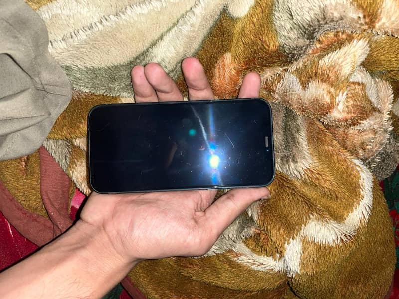 Apple iPhone 12 1