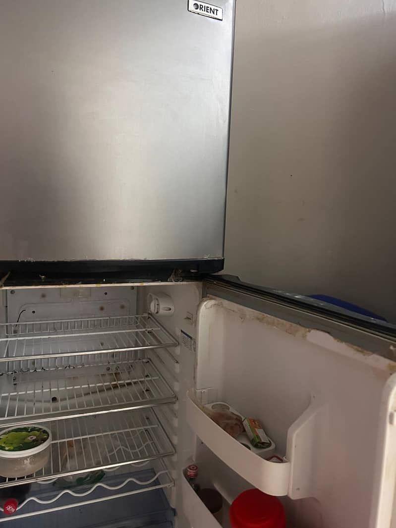 FRIDGE 1
