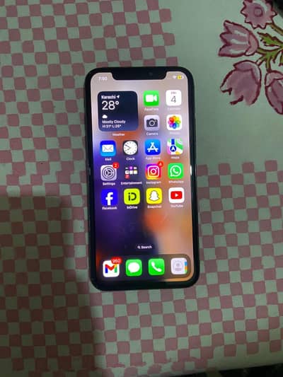 Apple iPhone X