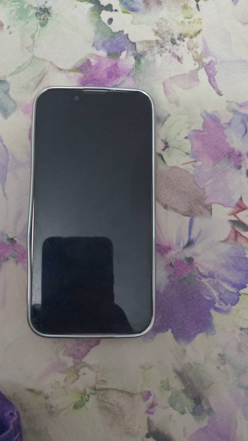 Apple iPhone 13 0