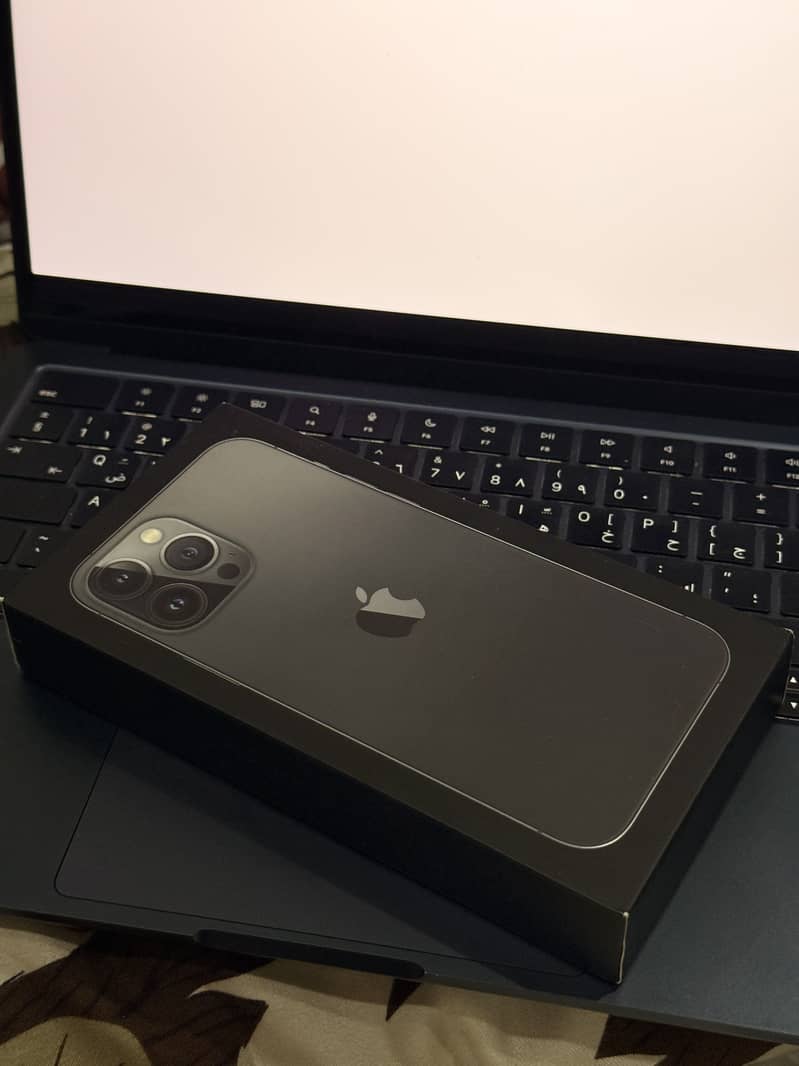 Apple iPhone 13 Pro Max 2