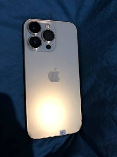 Apple iPhone 13 Pro
