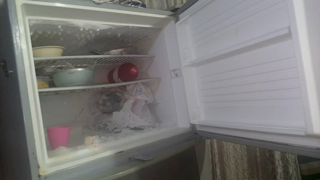 full size fridge 2
