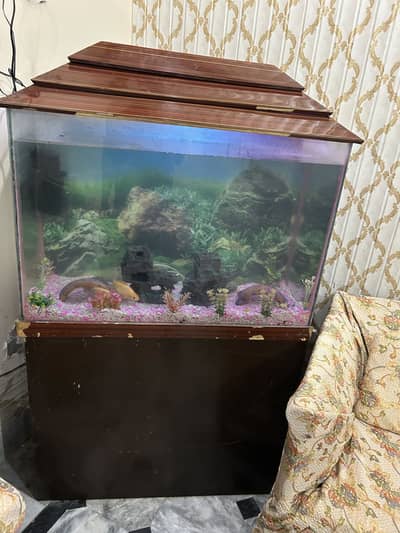 Complete Aquarium Setup for Sale