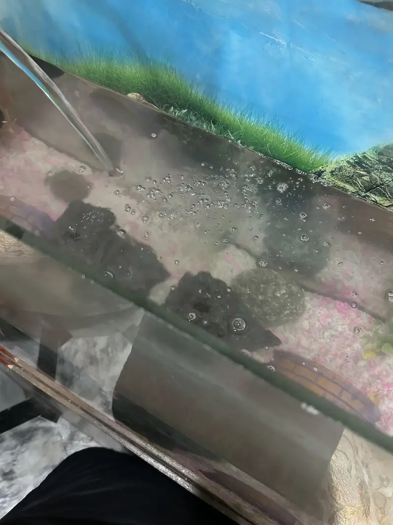 Complete Aquarium Setup for Sale — photo 2