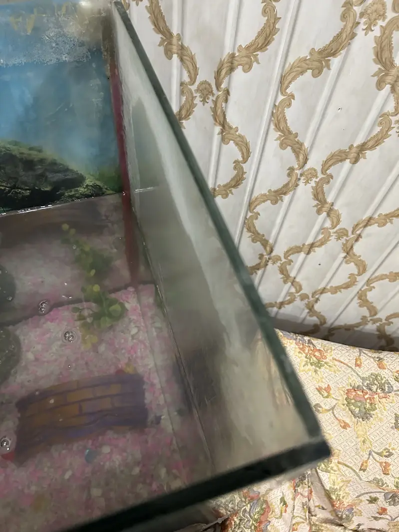 Complete Aquarium Setup for Sale — photo 4